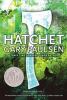 Hatchet/Gary Paulsen.